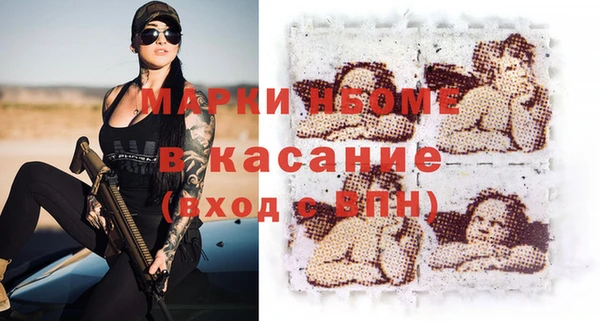 гидра Галич