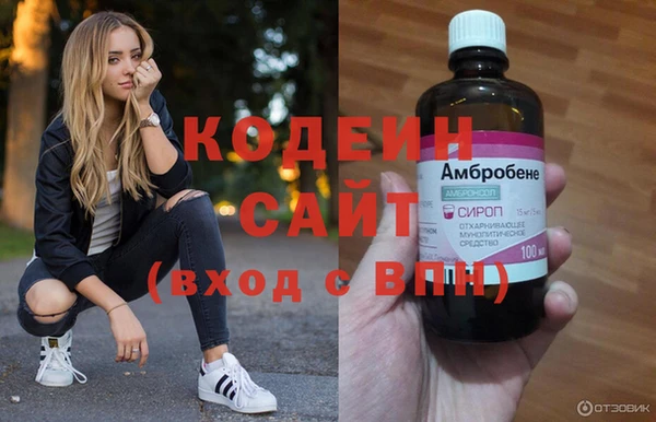 гидра Галич