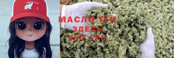 соль ск Гатчина