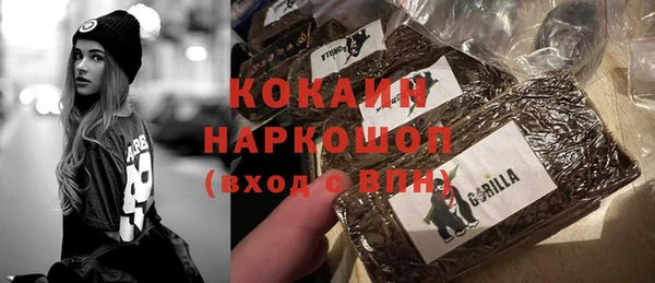 гидра Галич