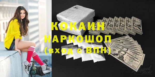 прущие грибы Покачи